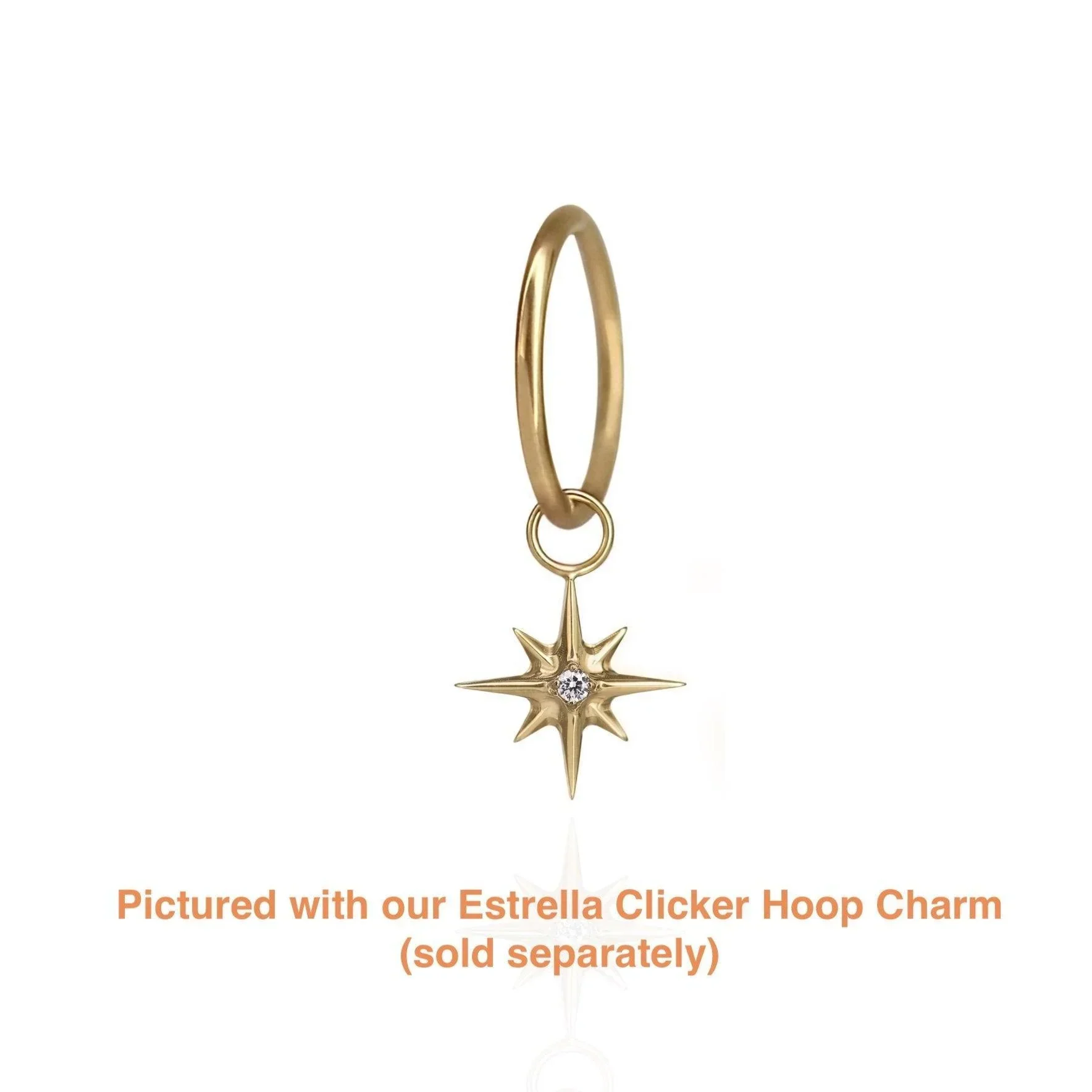 Clicker Hoop (Choose a Size) - Image 13