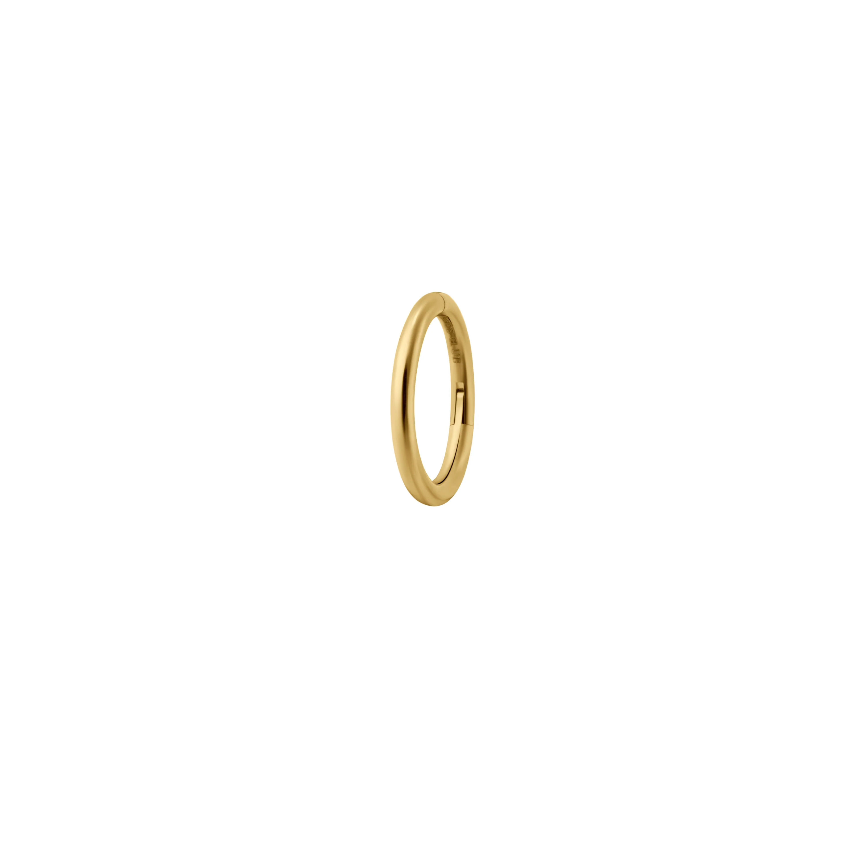 Clicker Hoop (Choose a Size) - Image 15