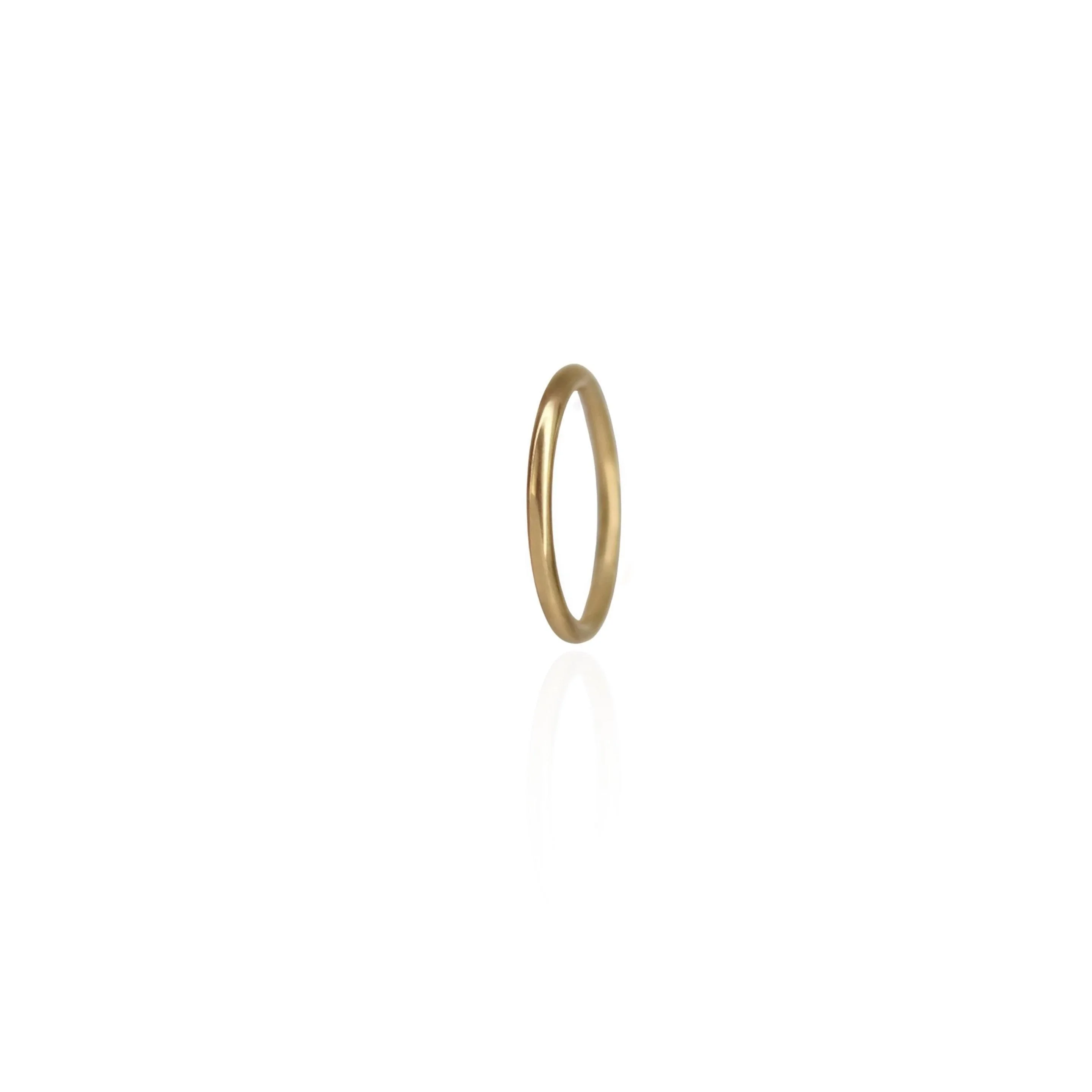 Clicker Hoop (Choose a Size) - Image 16