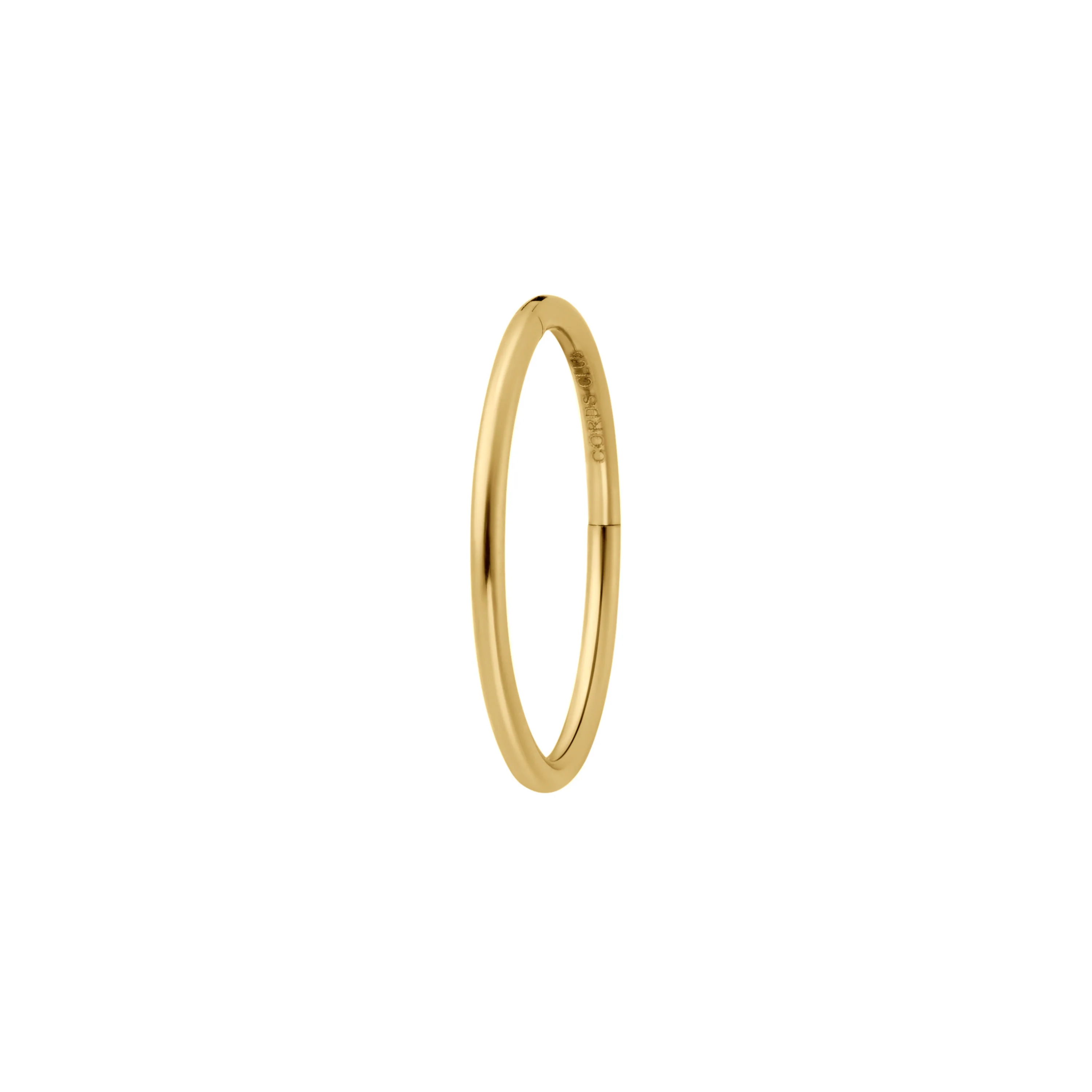 Clicker Hoop (Choose a Size) - Image 21
