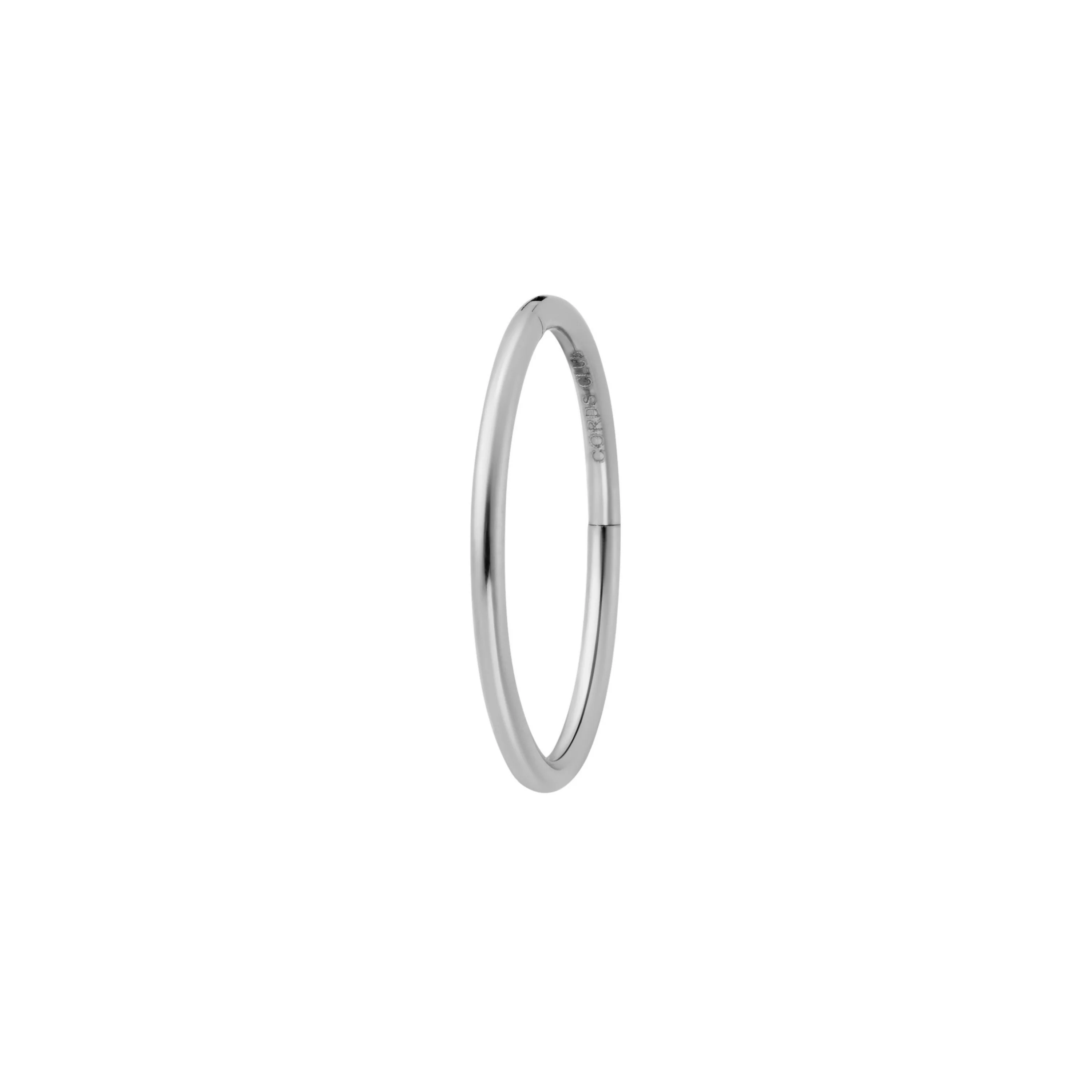 Clicker Hoop (Choose a Size) - Image 22