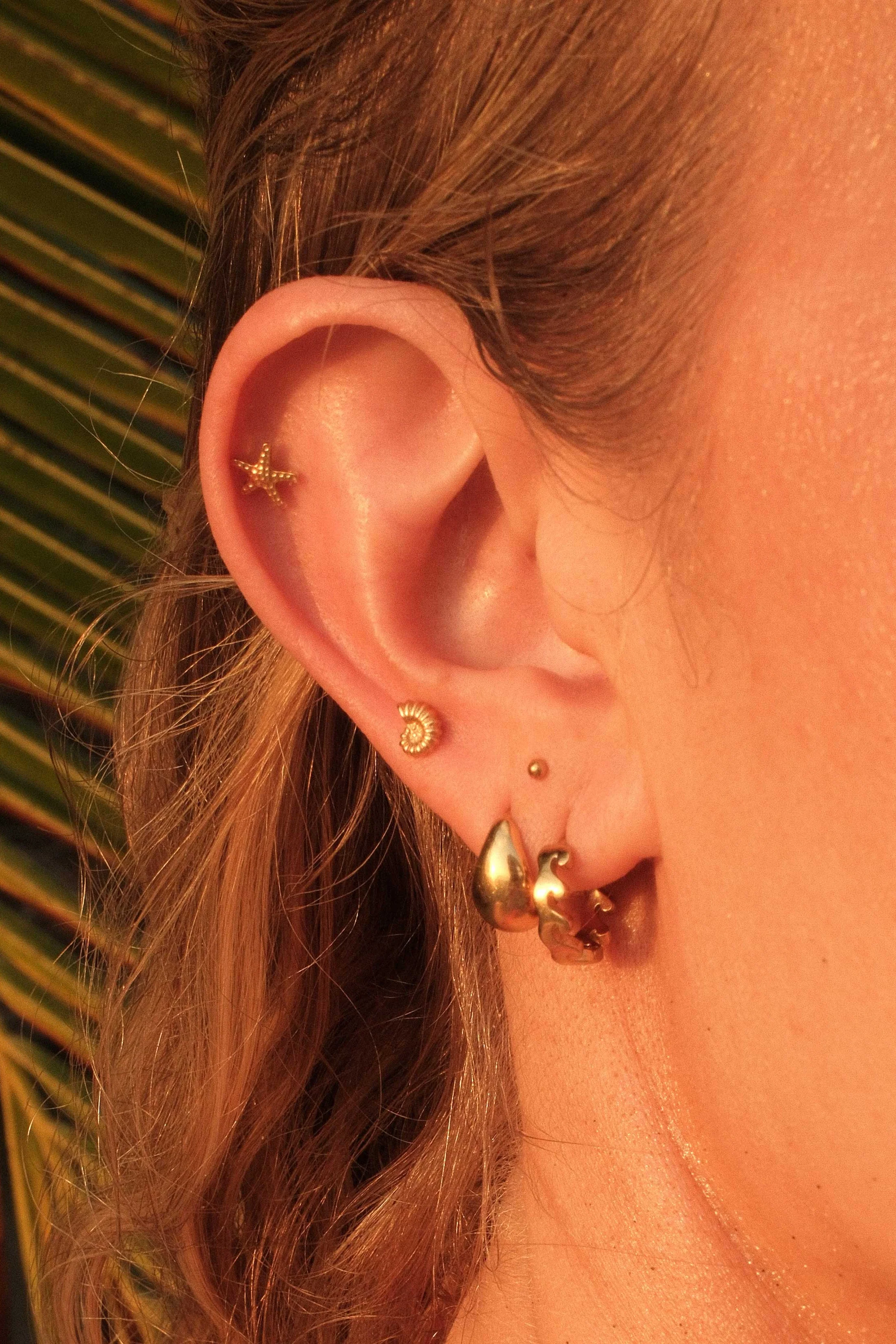 Nautilus Shell Flat Back Stud - Image 3